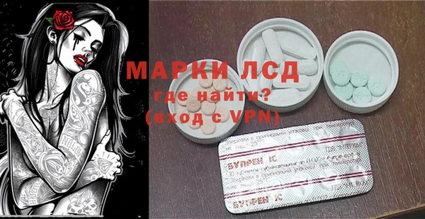 spice Вяземский