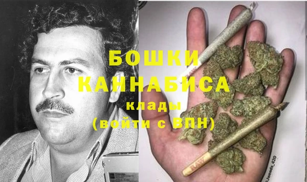 spice Вяземский