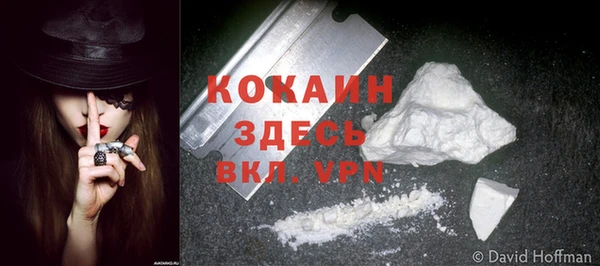 spice Вяземский